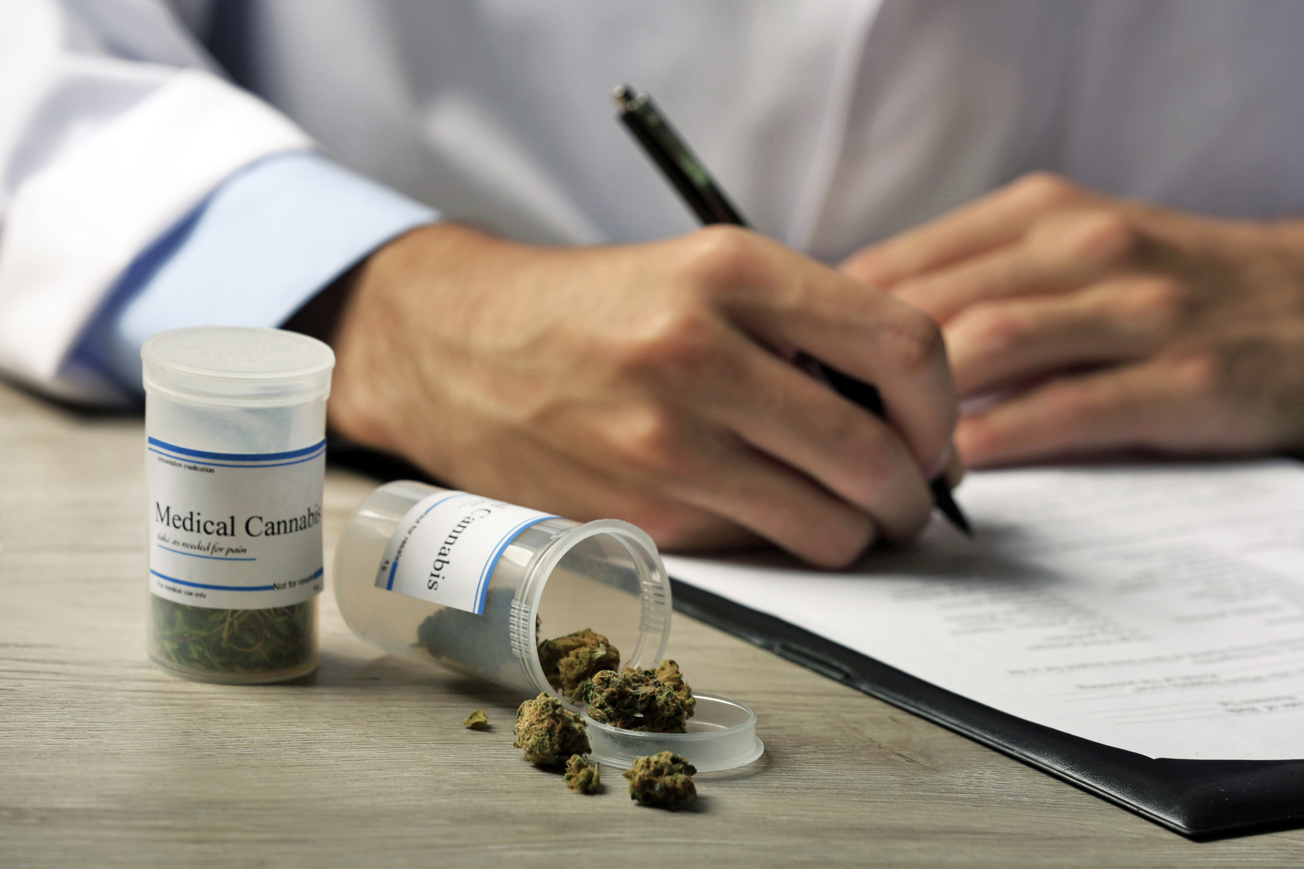 Cannabis médical : la France joue la montre