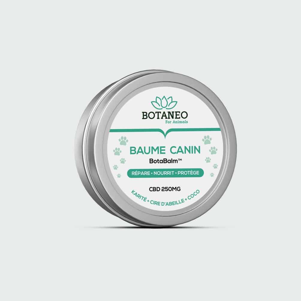 Botaneo – Baume CBD pour chiens