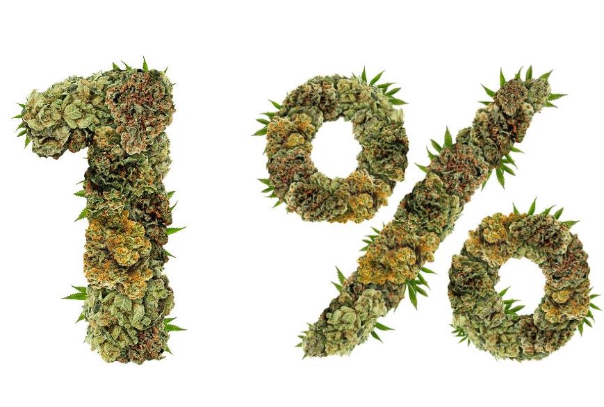 Taux de THC : une réalité agronomique et économique ignorée