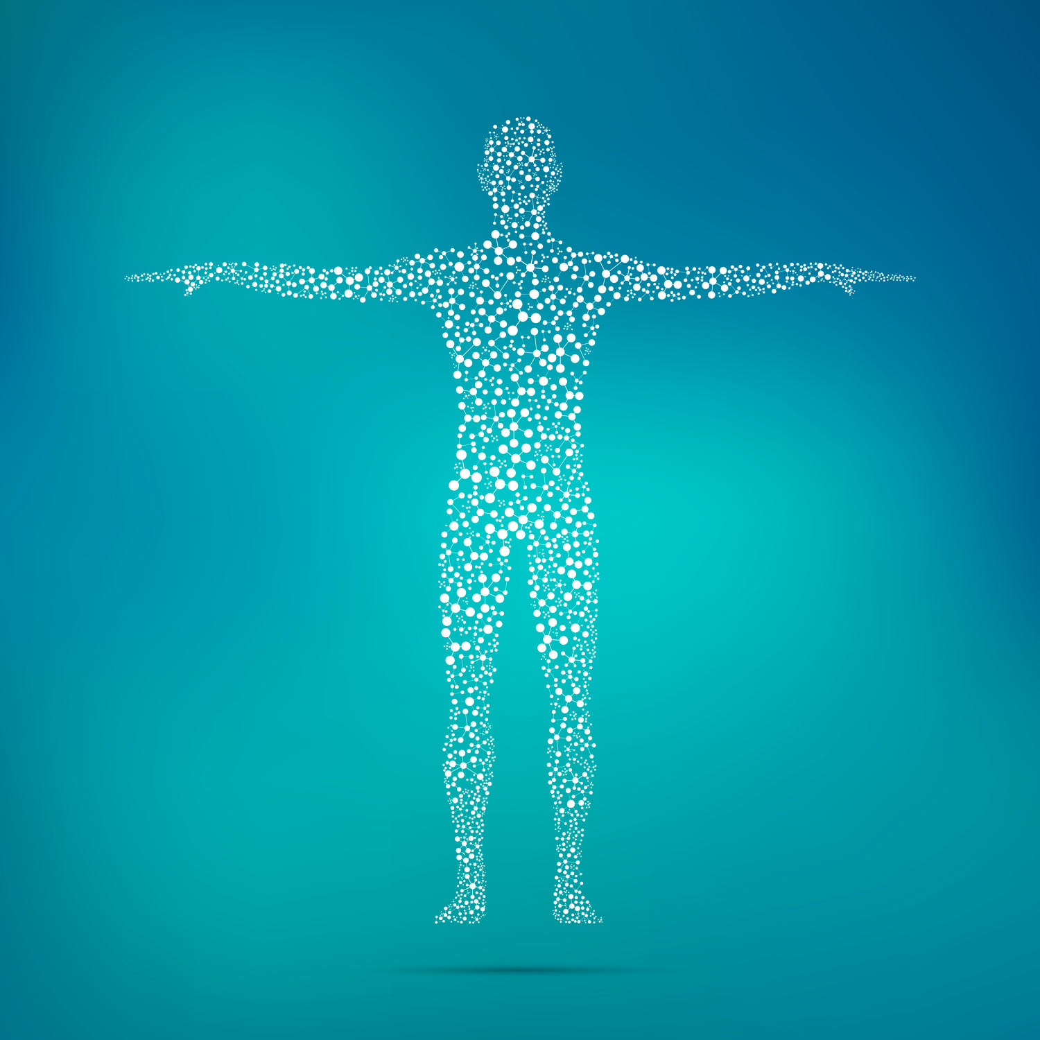 Le système endocannabinoïde