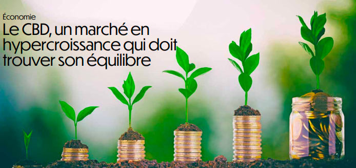 Le CBD, un marché en hypercroissance qui doit trouver son équilibre