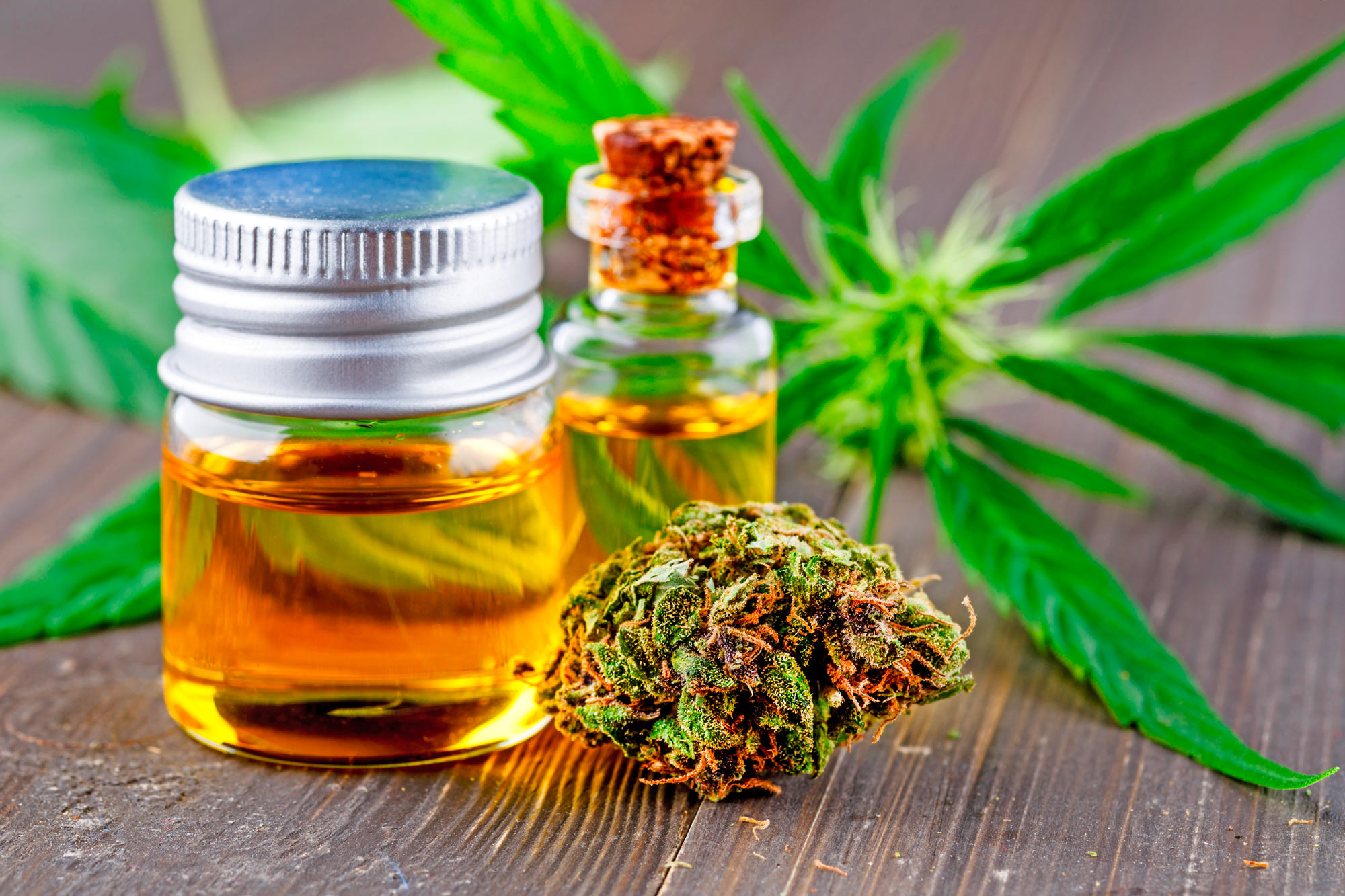 Guide – Le CBD sans prise de tête